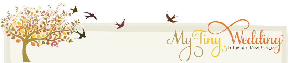 My Tiny Wedding in the Red River Gorge logo